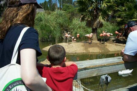 KIDS0064